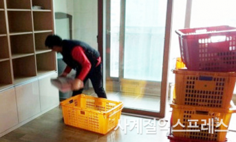 갤러리